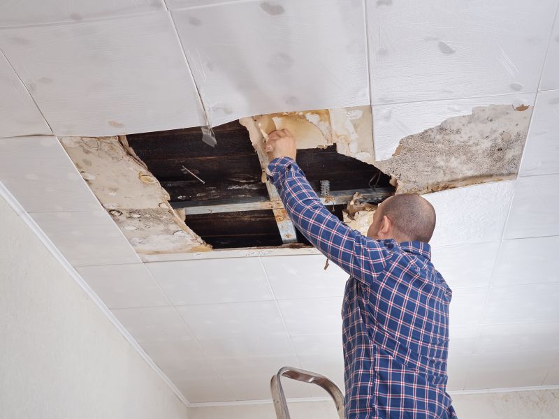 Ceiling Water Damage Repair in Olathe, KS